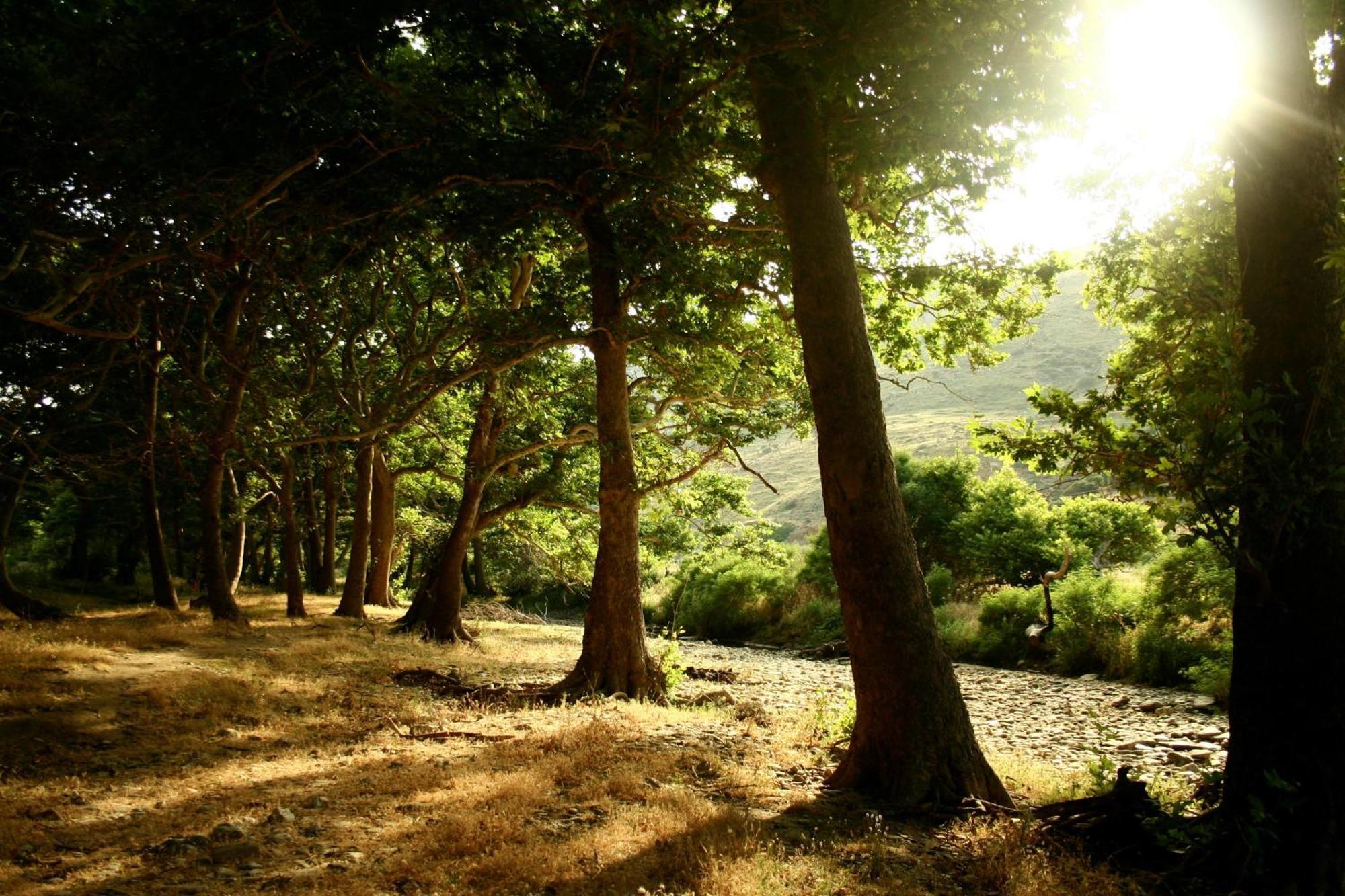 Onar Andros Konuk evi Achla Dış mekan fotoğraf