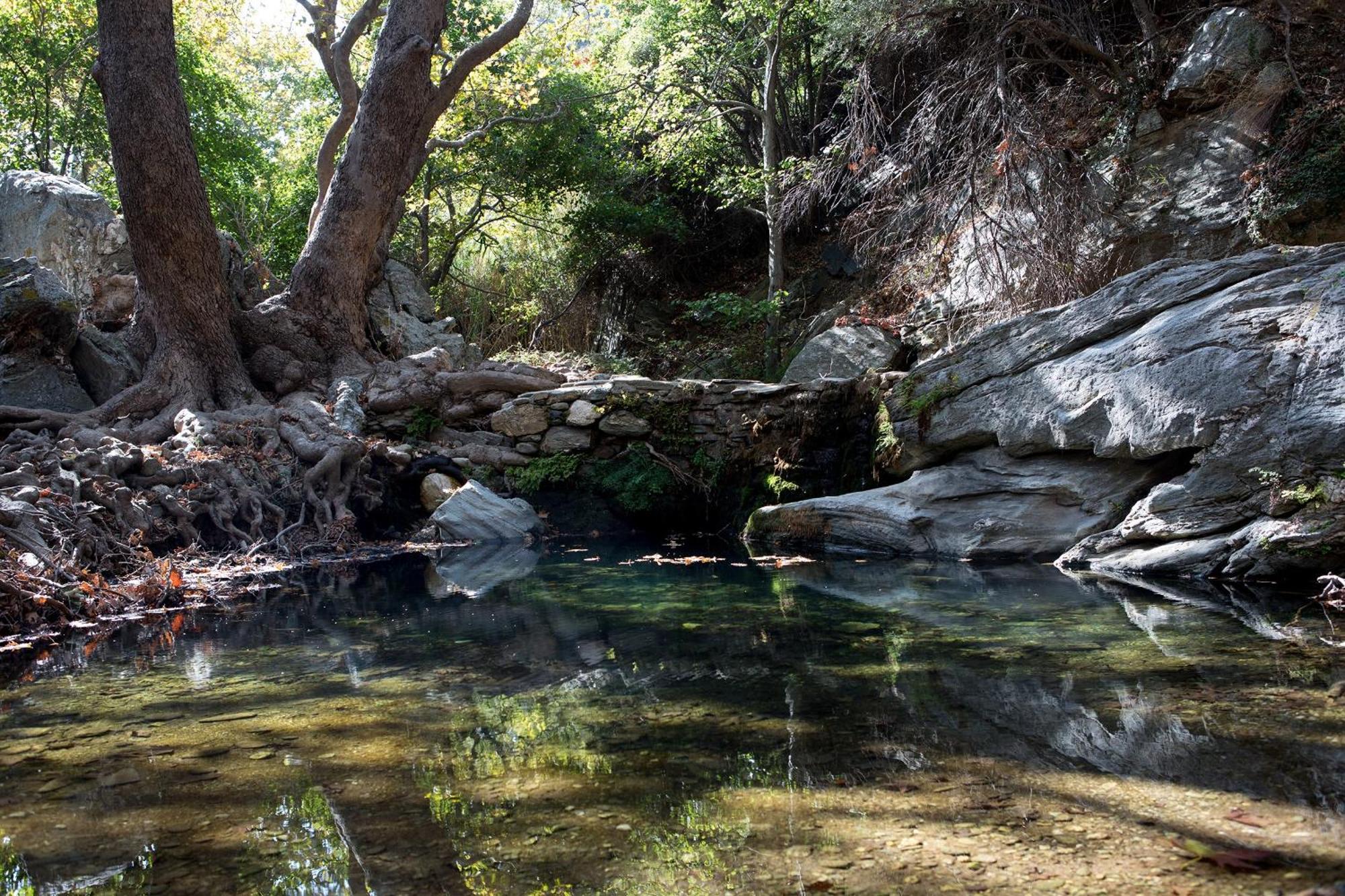 Onar Andros Konuk evi Achla Dış mekan fotoğraf