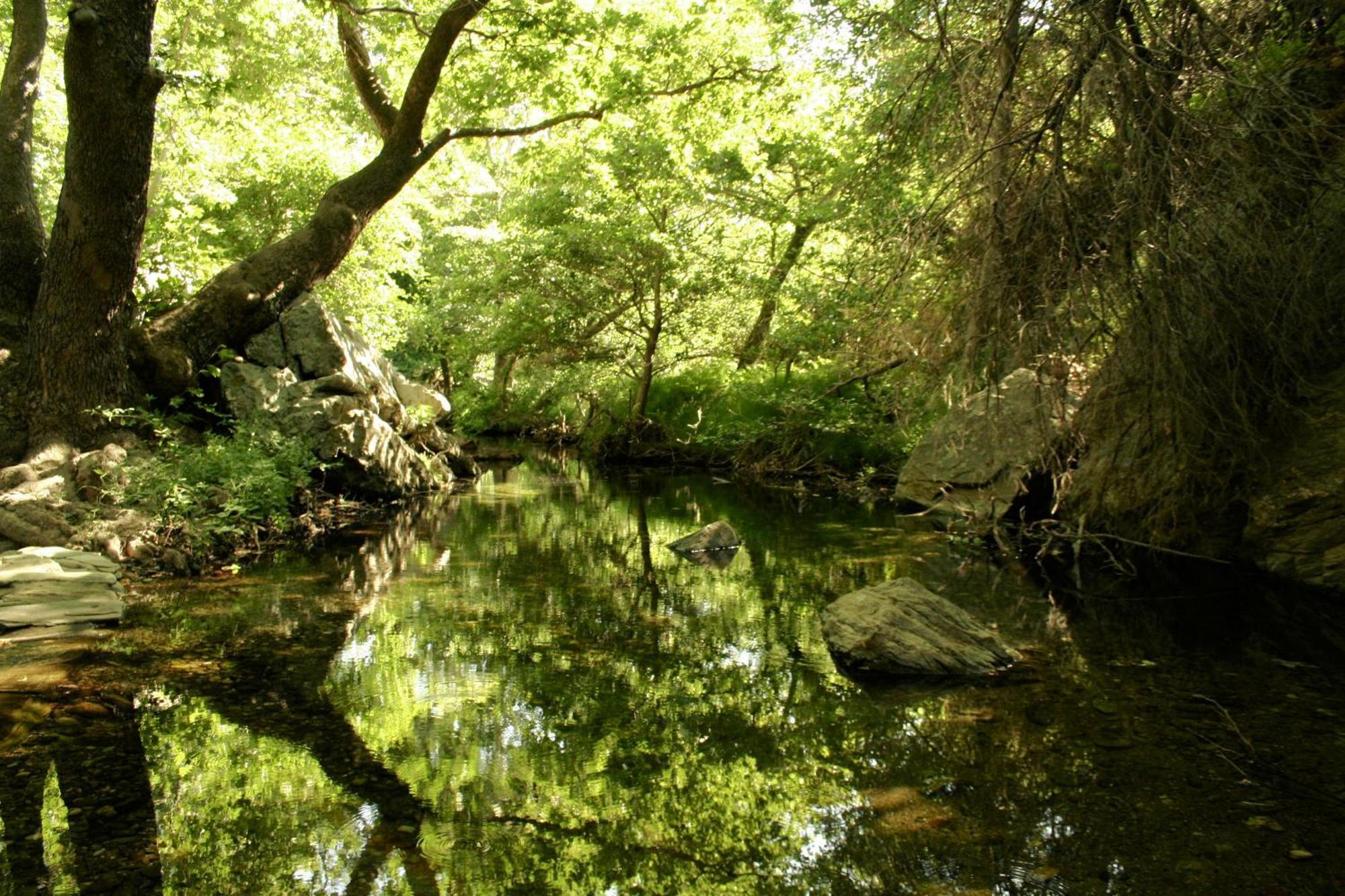 Onar Andros Konuk evi Achla Dış mekan fotoğraf