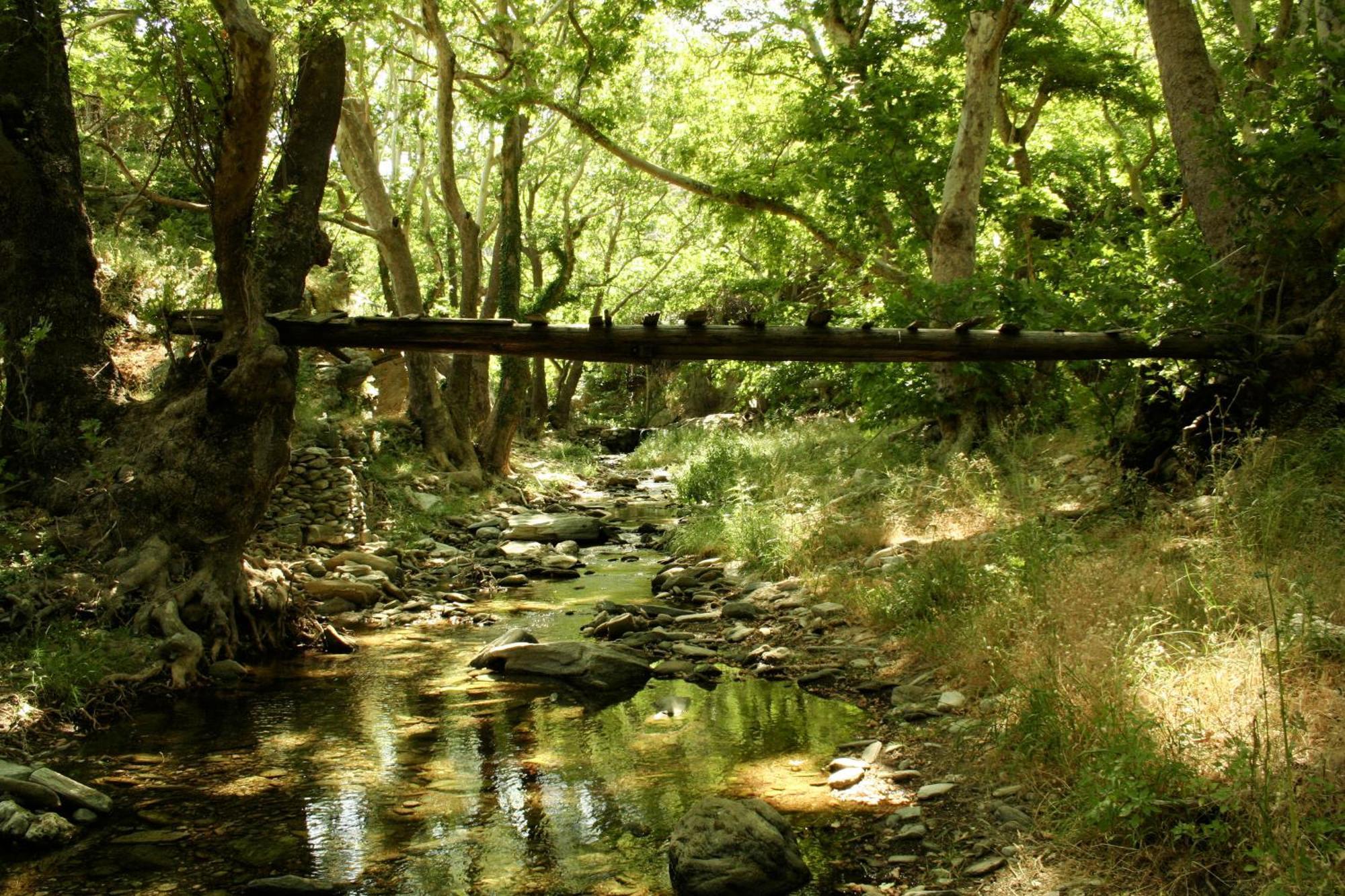 Onar Andros Konuk evi Achla Dış mekan fotoğraf