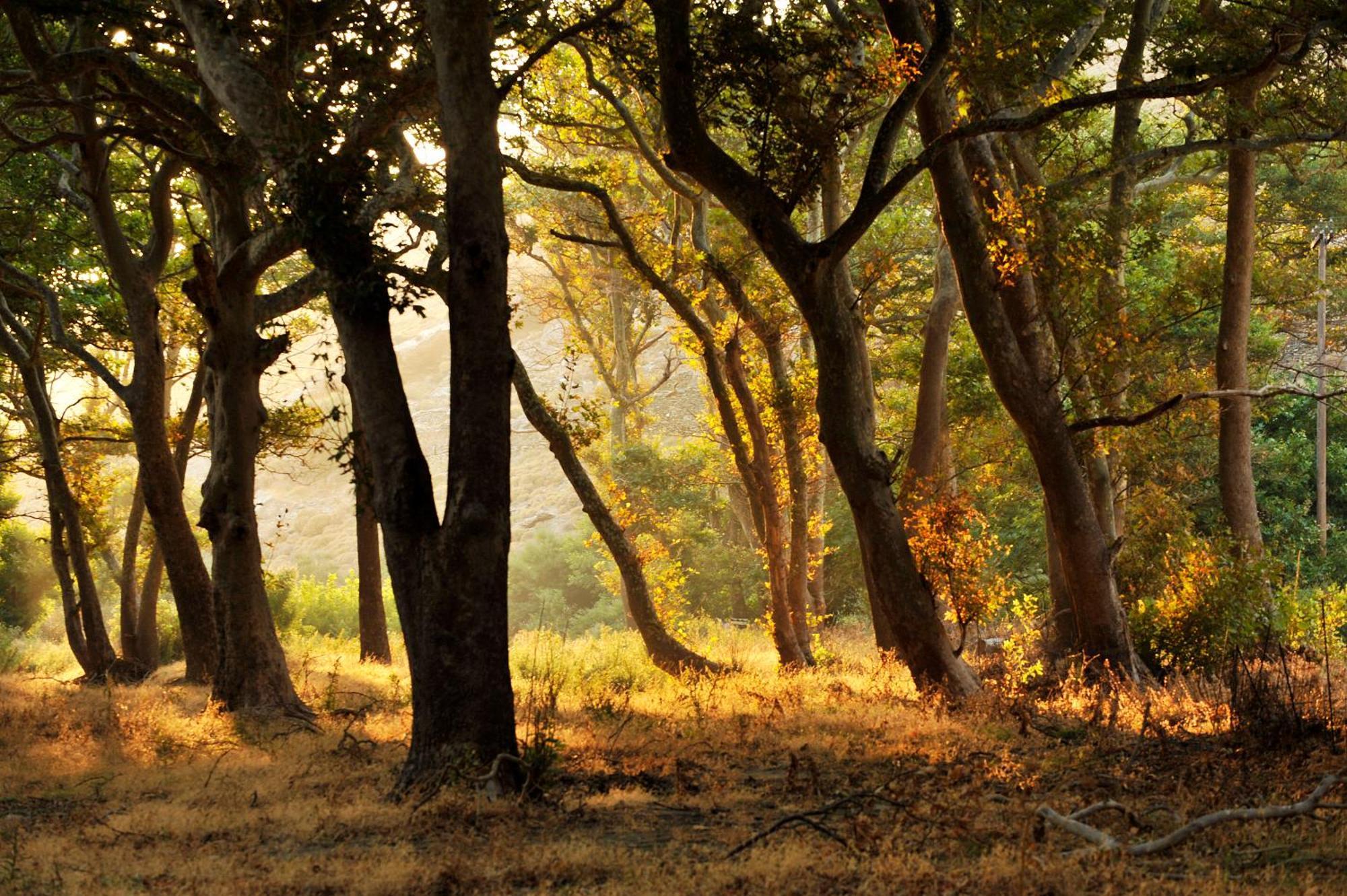 Onar Andros Konuk evi Achla Dış mekan fotoğraf